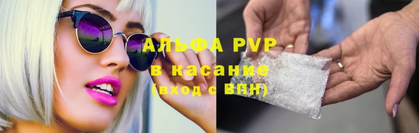 молекула духа Покров