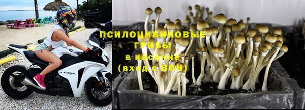 дурь Покровск