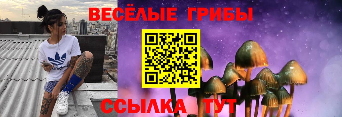 Алатырь  Галлюциногенные грибы GOLDEN TEACHER  наркота  Вход с VPN  Галлюциногенные грибы ЛСД 